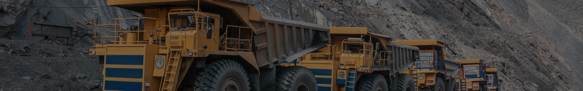 Extraction of the raw materials
